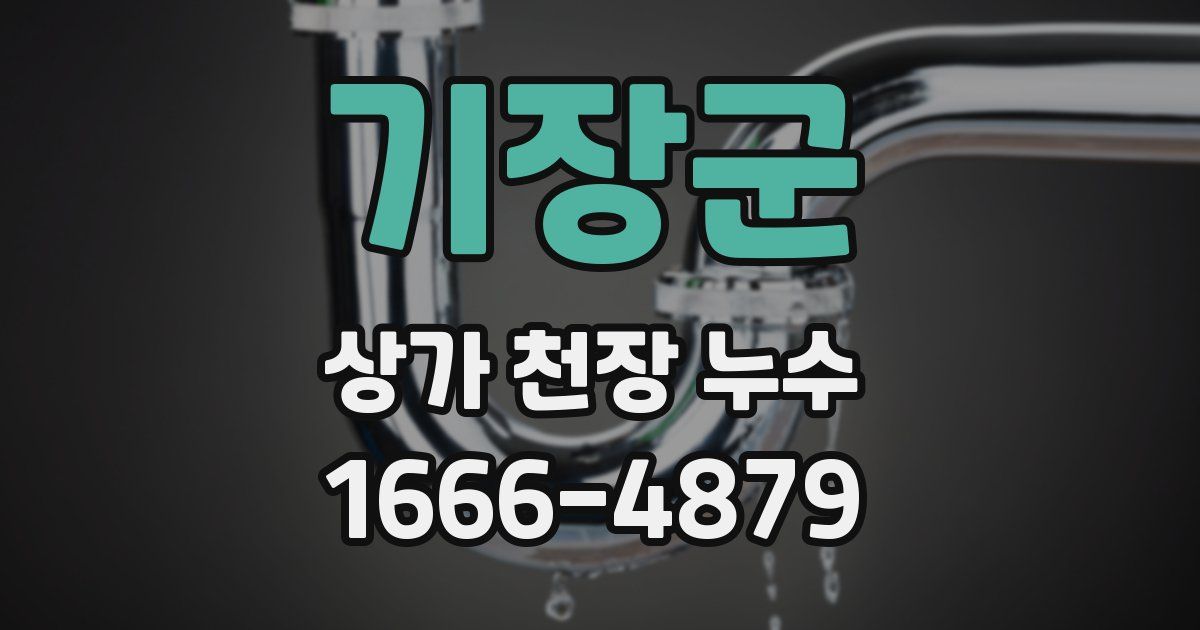 기장군 상가 천장 누수