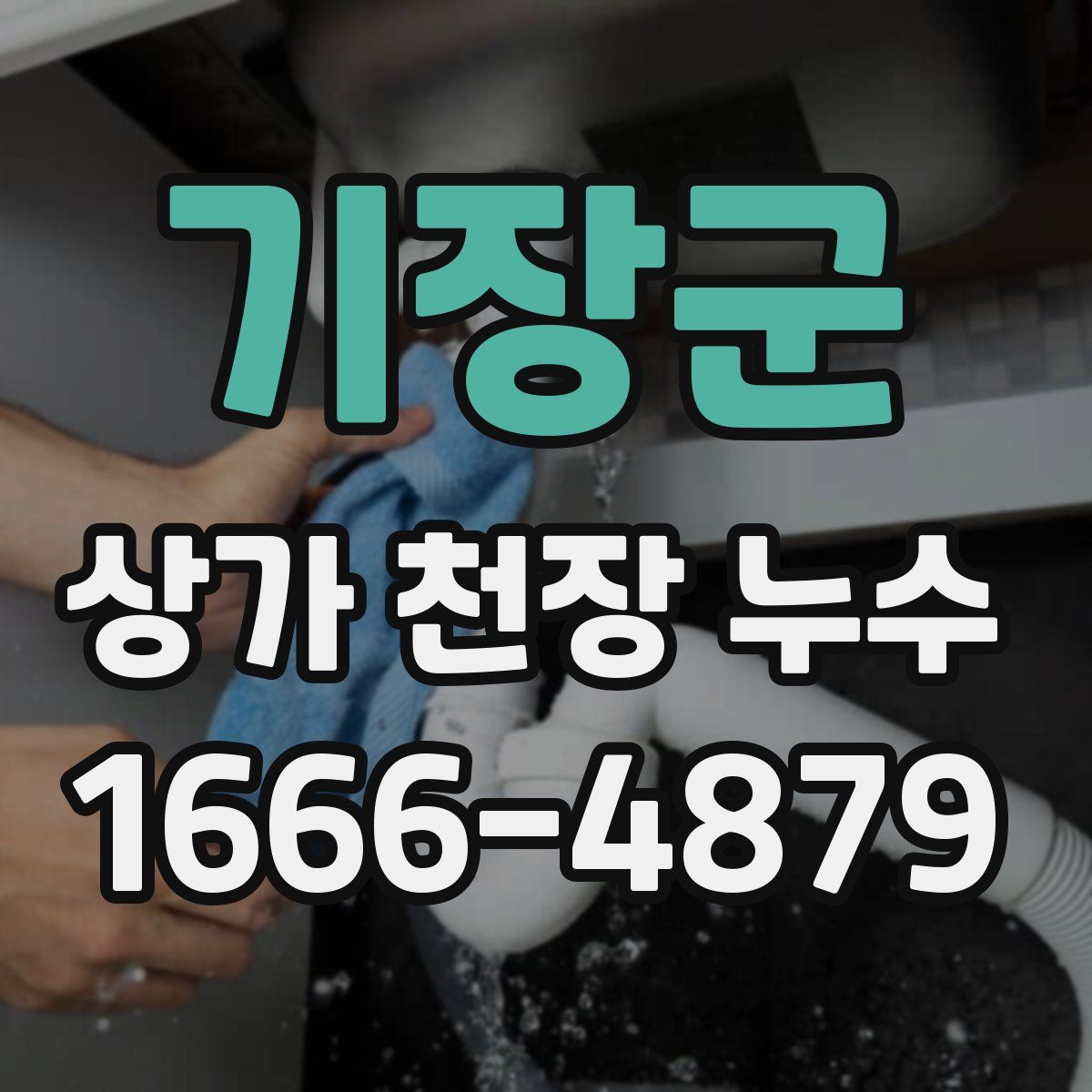 기장군 상가 천장 누수