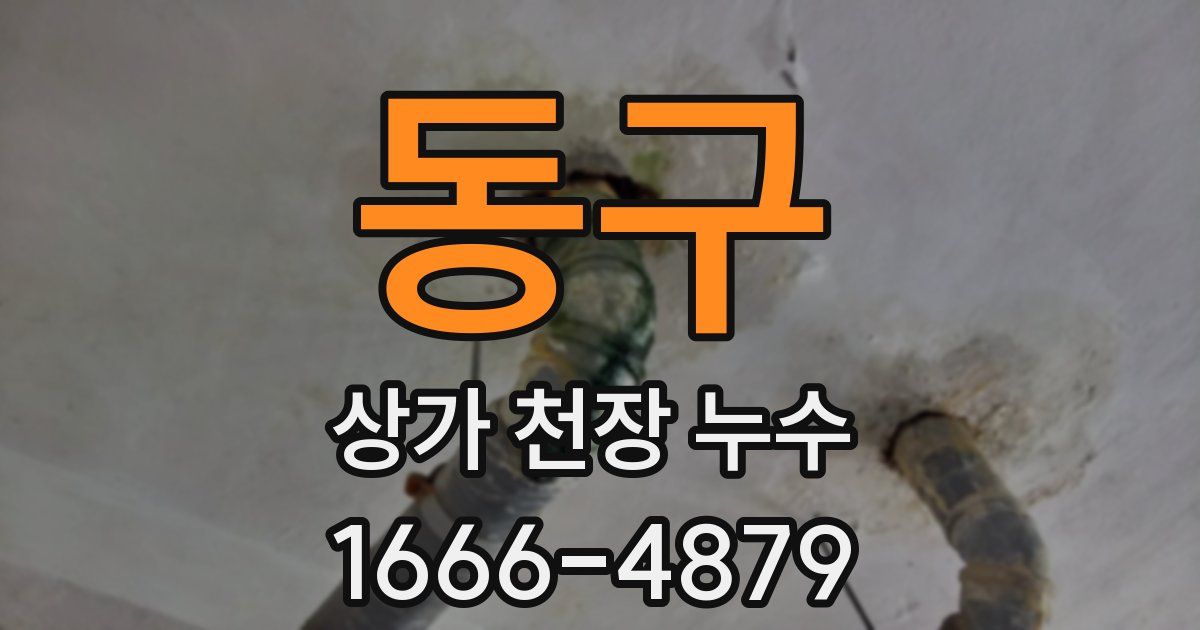 동구 상가 천장 누수