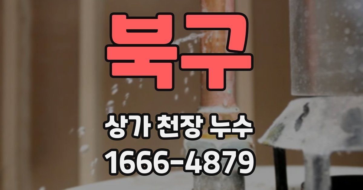 북구 상가 천장 누수