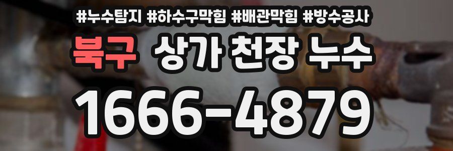 북구 상가 천장 누수