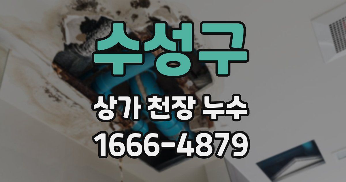 수성구 상가 천장 누수