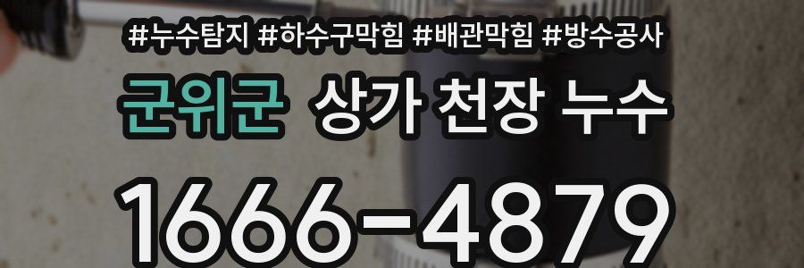 군위군 상가 천장 누수