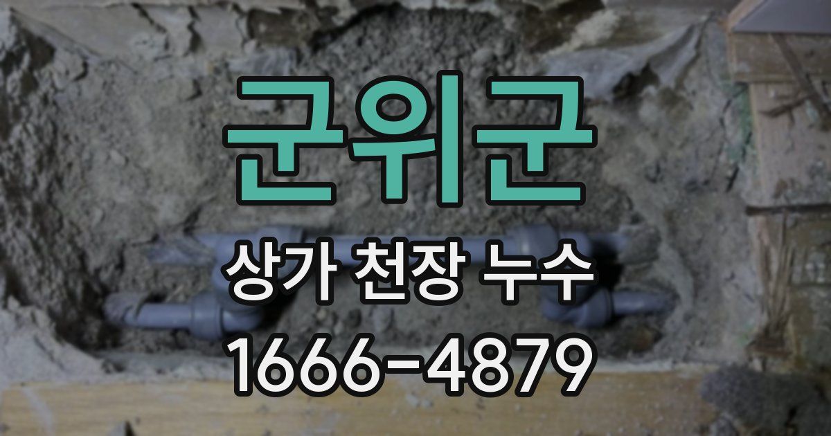 군위군 상가 천장 누수