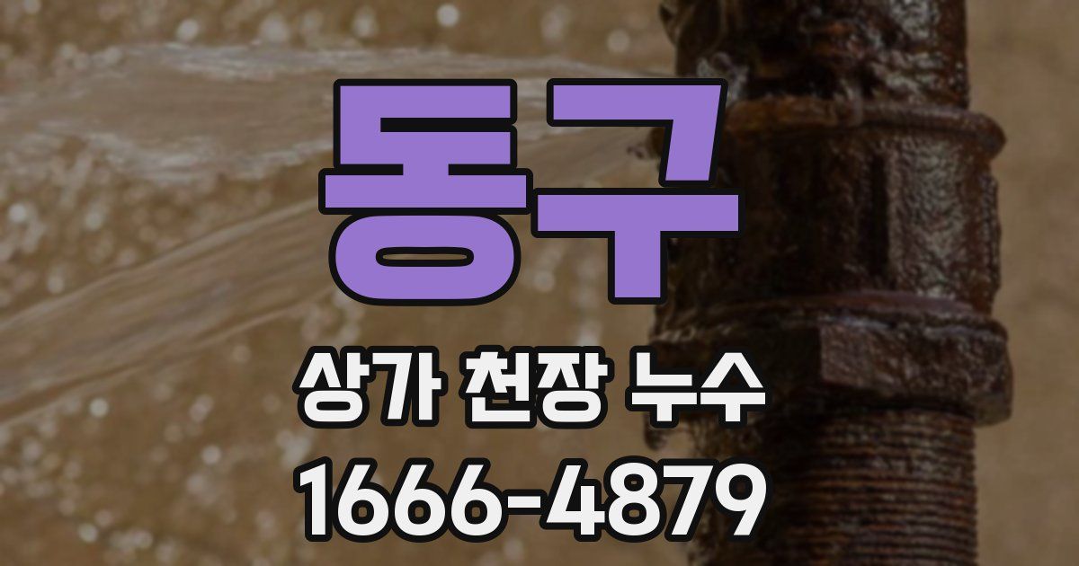 동구 상가 천장 누수