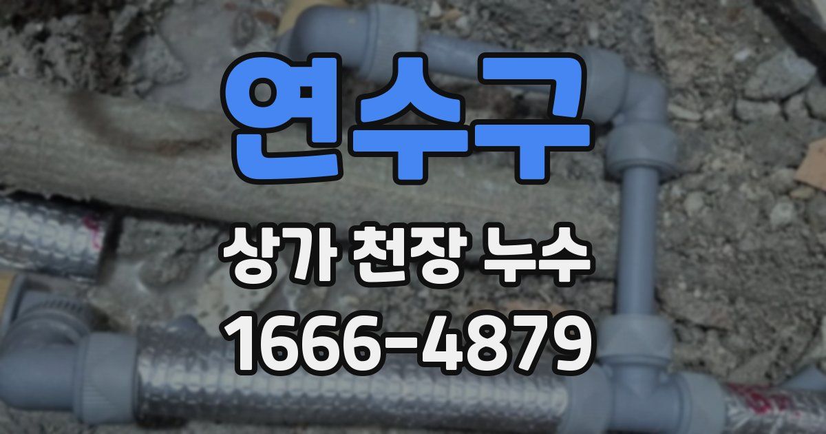 연수구 상가 천장 누수