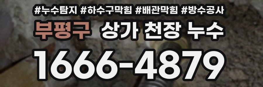 부평구 상가 천장 누수