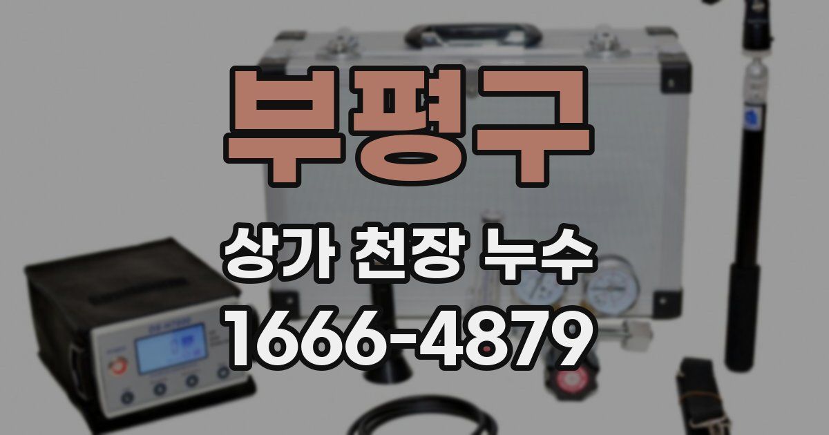 부평구 상가 천장 누수