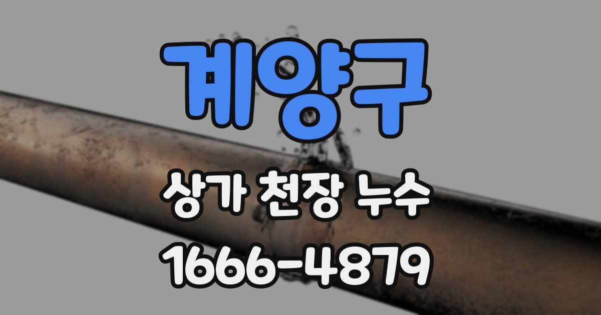 계양구 상가 천장 누수