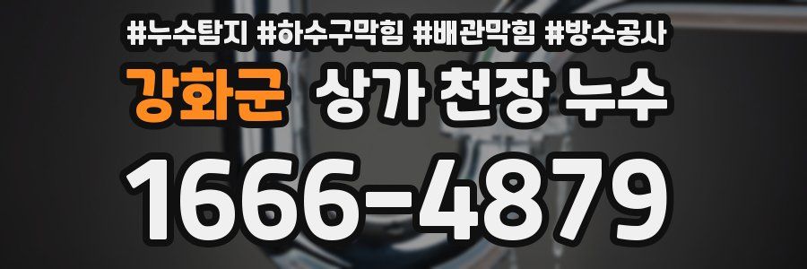 강화군 상가 천장 누수