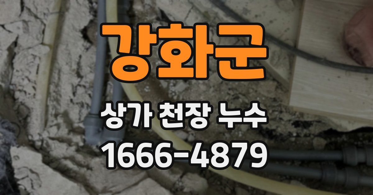 강화군 상가 천장 누수