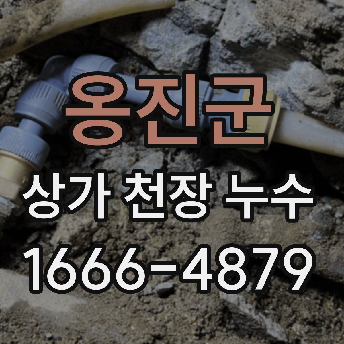 옹진군 상가 천장 누수