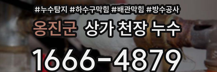 옹진군 상가 천장 누수