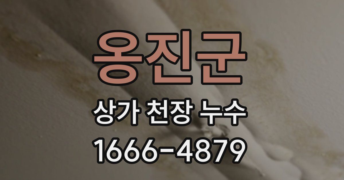 옹진군 상가 천장 누수