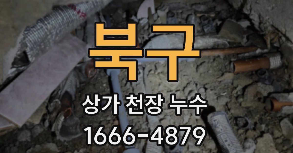 북구 상가 천장 누수