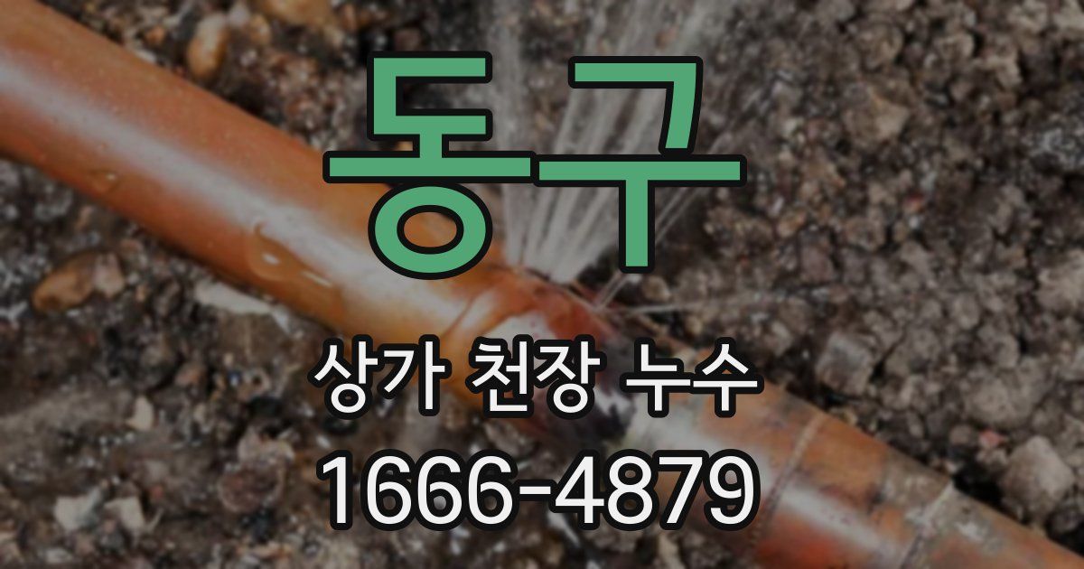 동구 상가 천장 누수