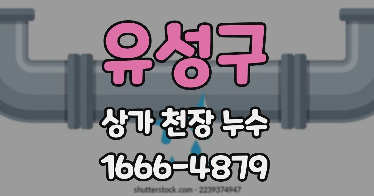 유성구 상가 천장 누수