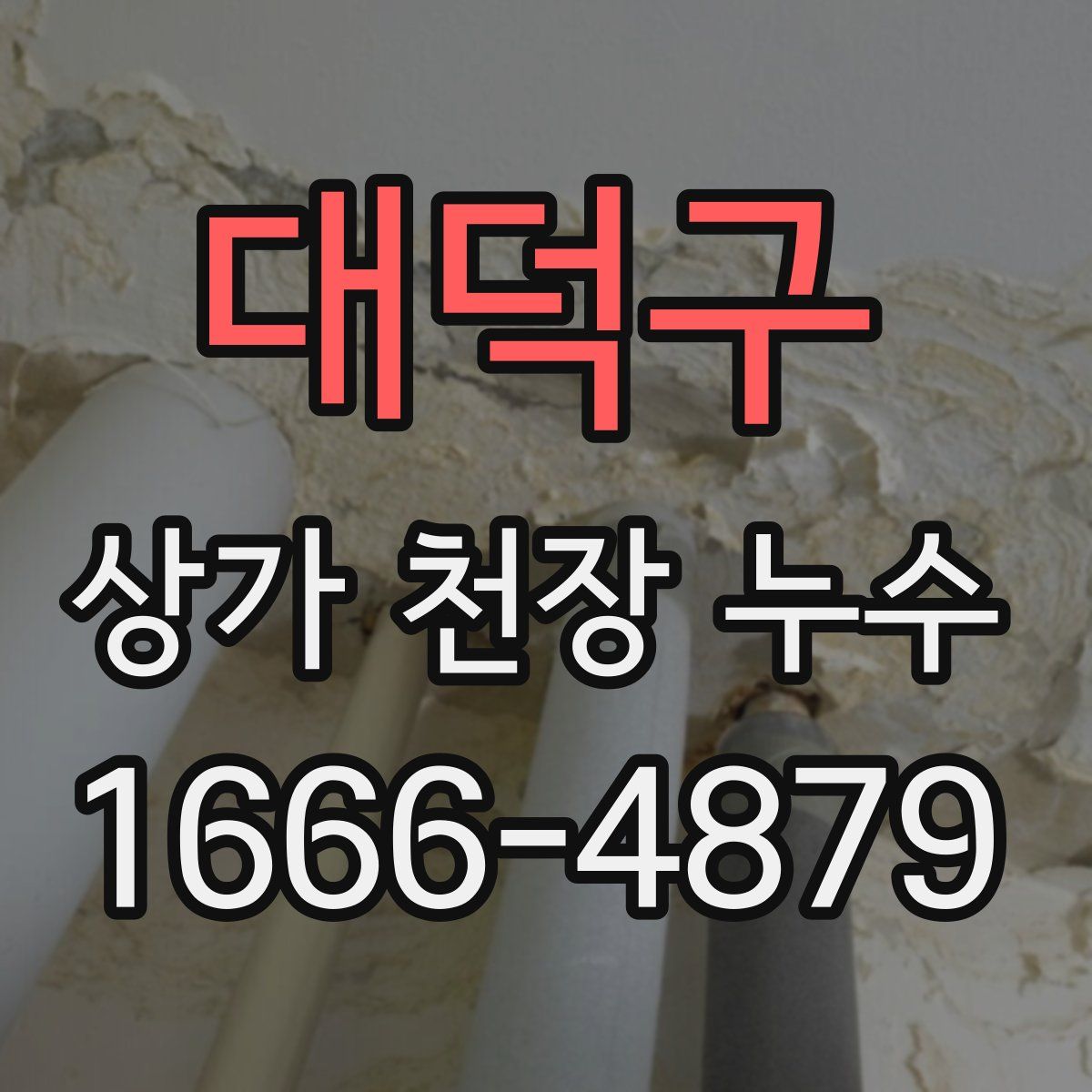 대덕구 상가 천장 누수