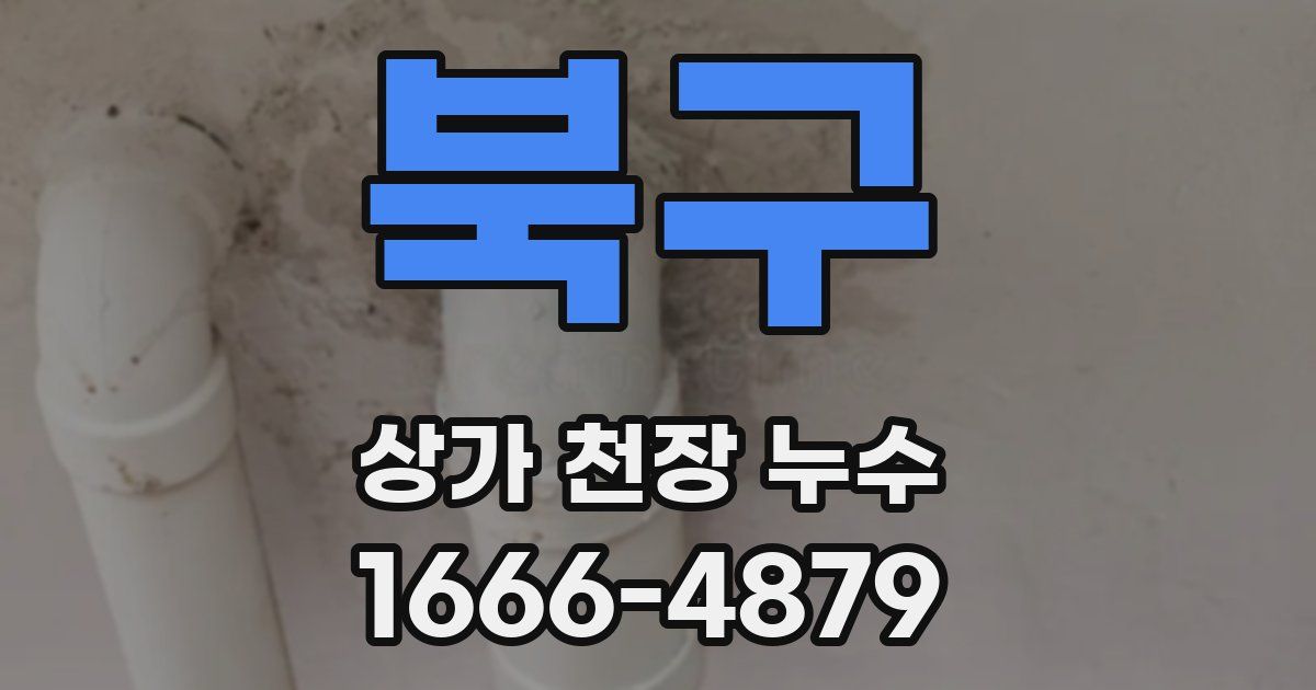 북구 상가 천장 누수