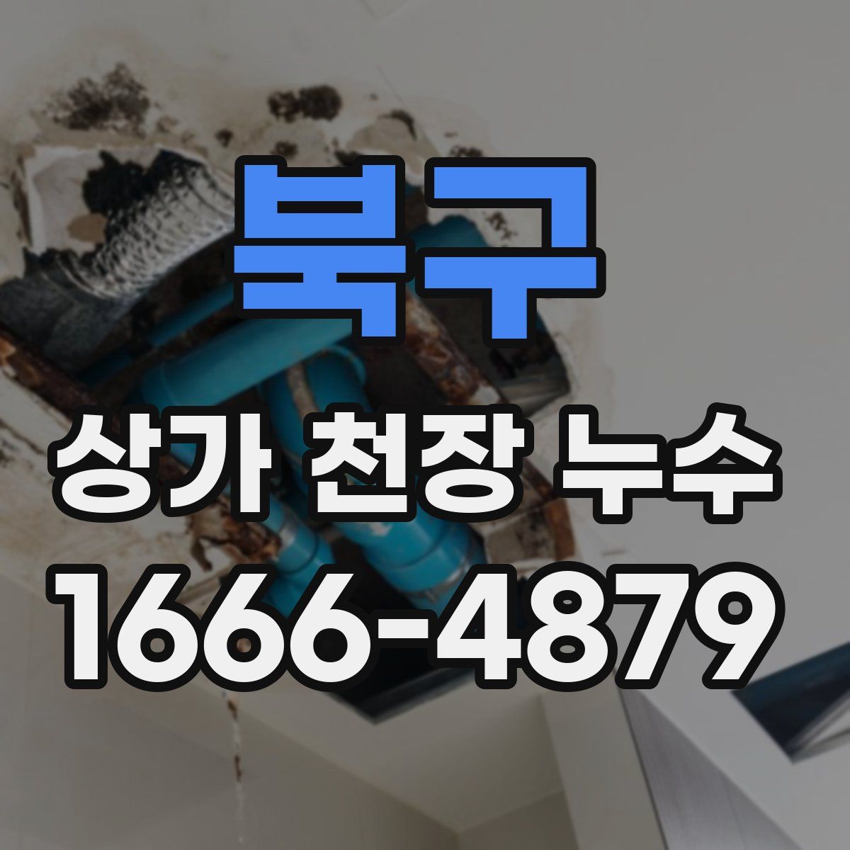북구 상가 천장 누수