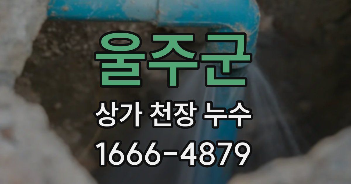 울주군 상가 천장 누수