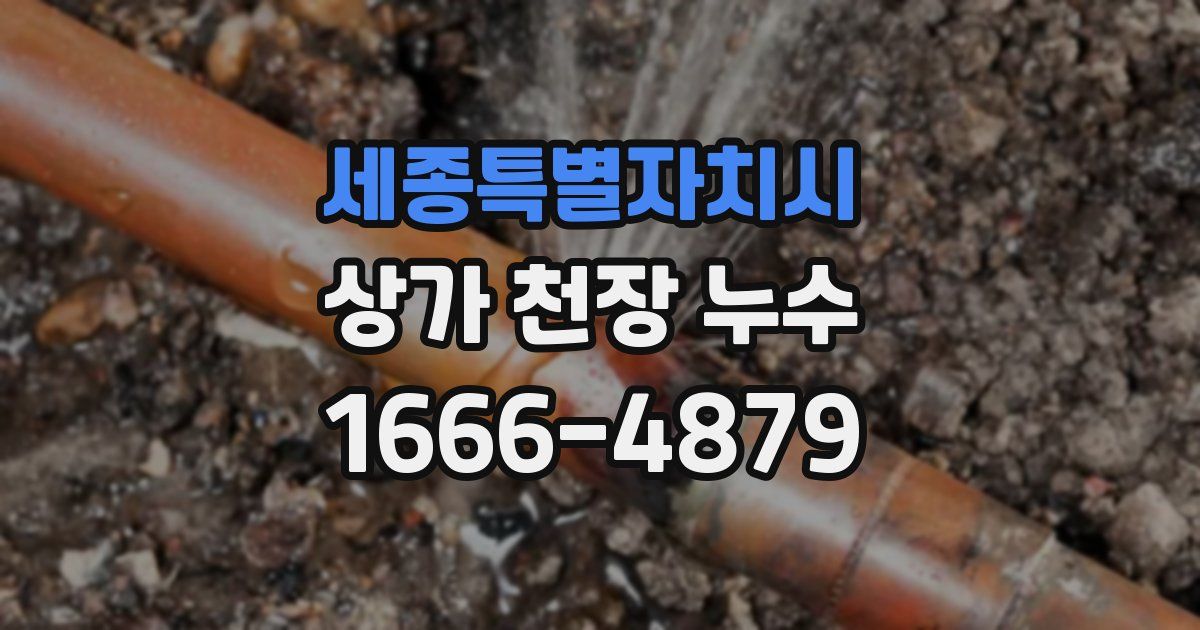 세종특별자치시 상가 천장 누수