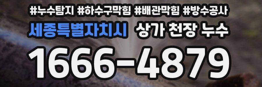 세종특별자치시 상가 천장 누수