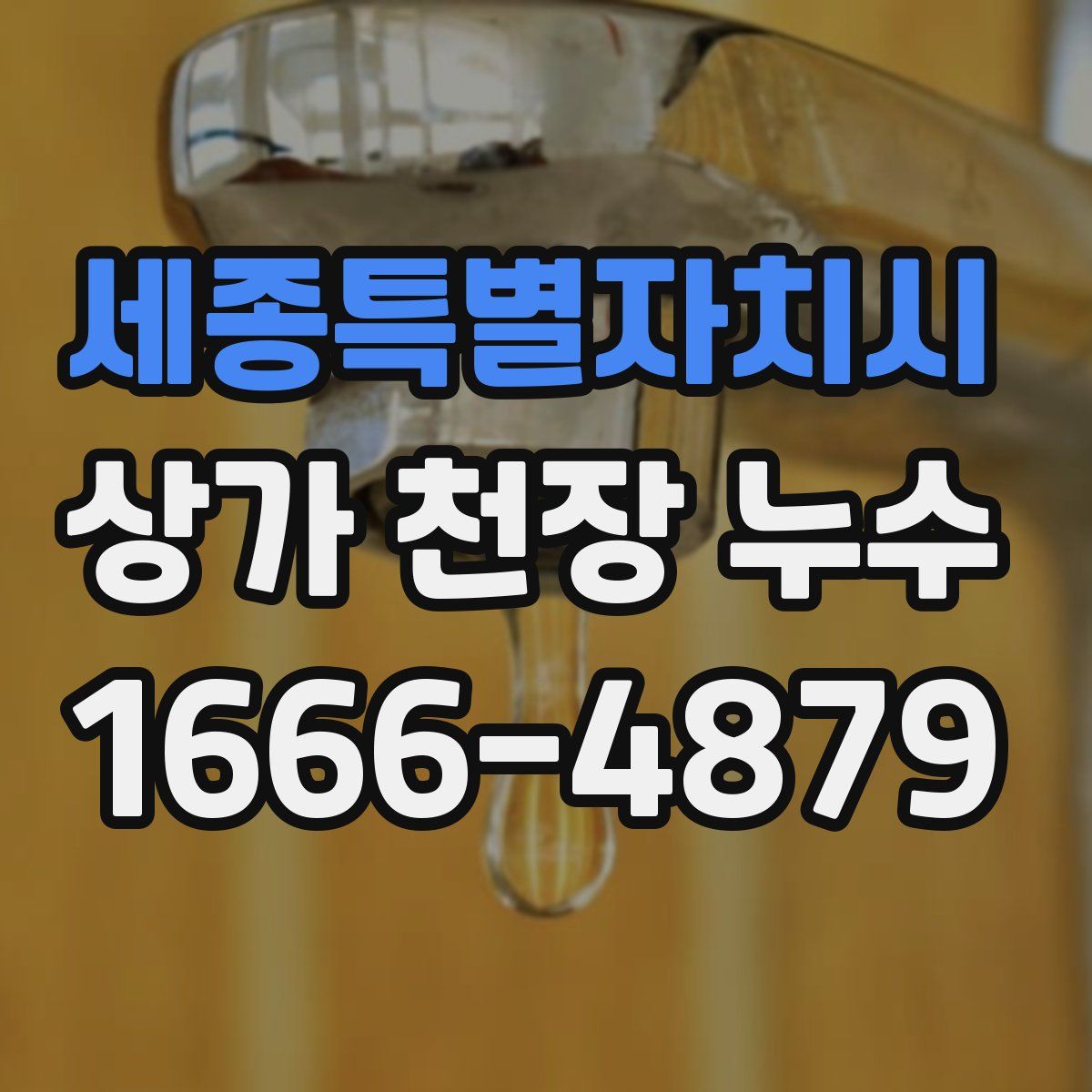 세종특별자치시 상가 천장 누수
