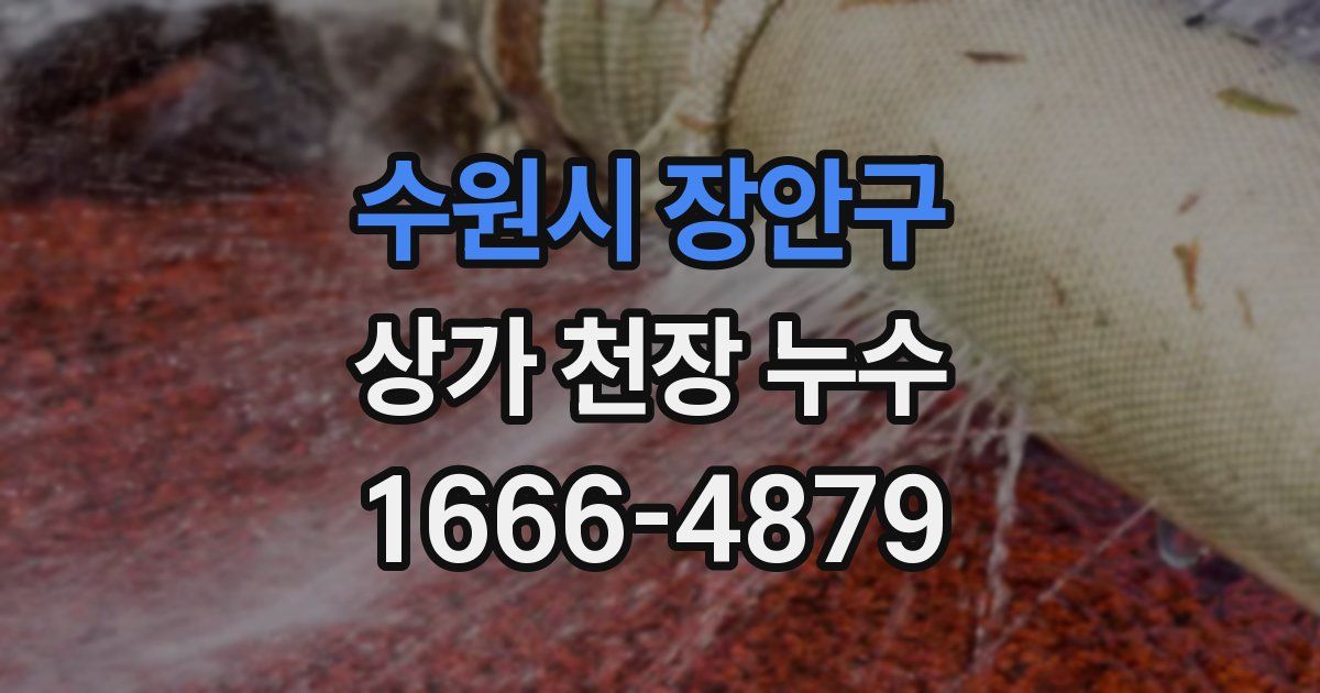 수원시 장안구 상가 천장 누수