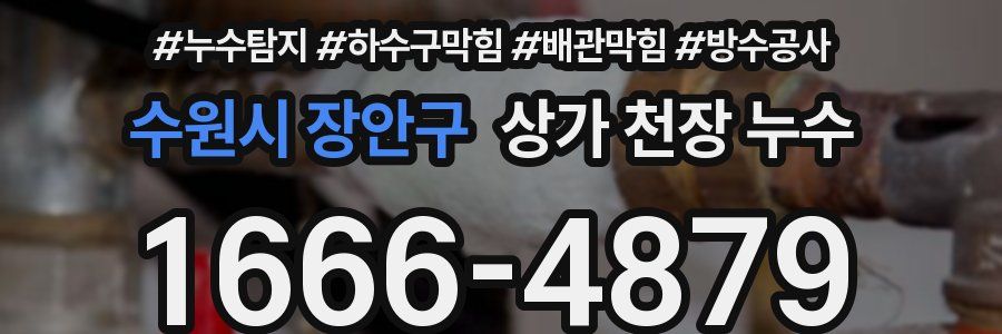 수원시 장안구 상가 천장 누수