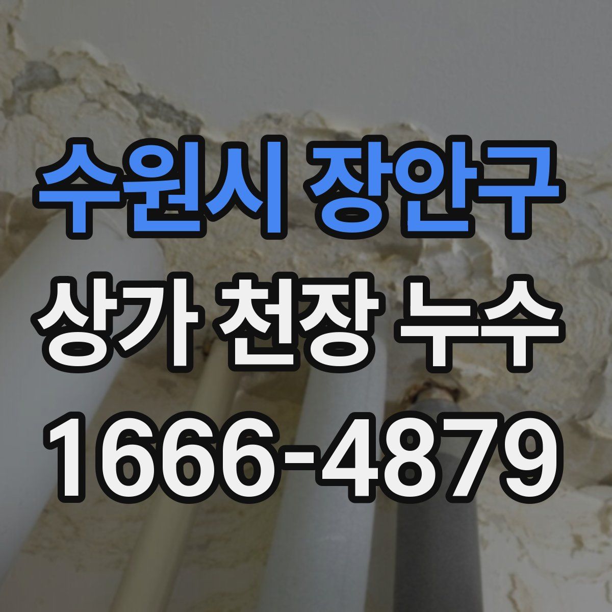 수원시 장안구 상가 천장 누수