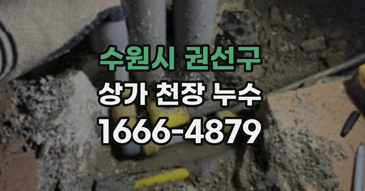 수원시 권선구 상가 천장 누수