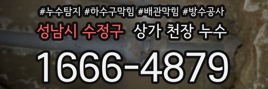 성남시 수정구 상가 천장 누수