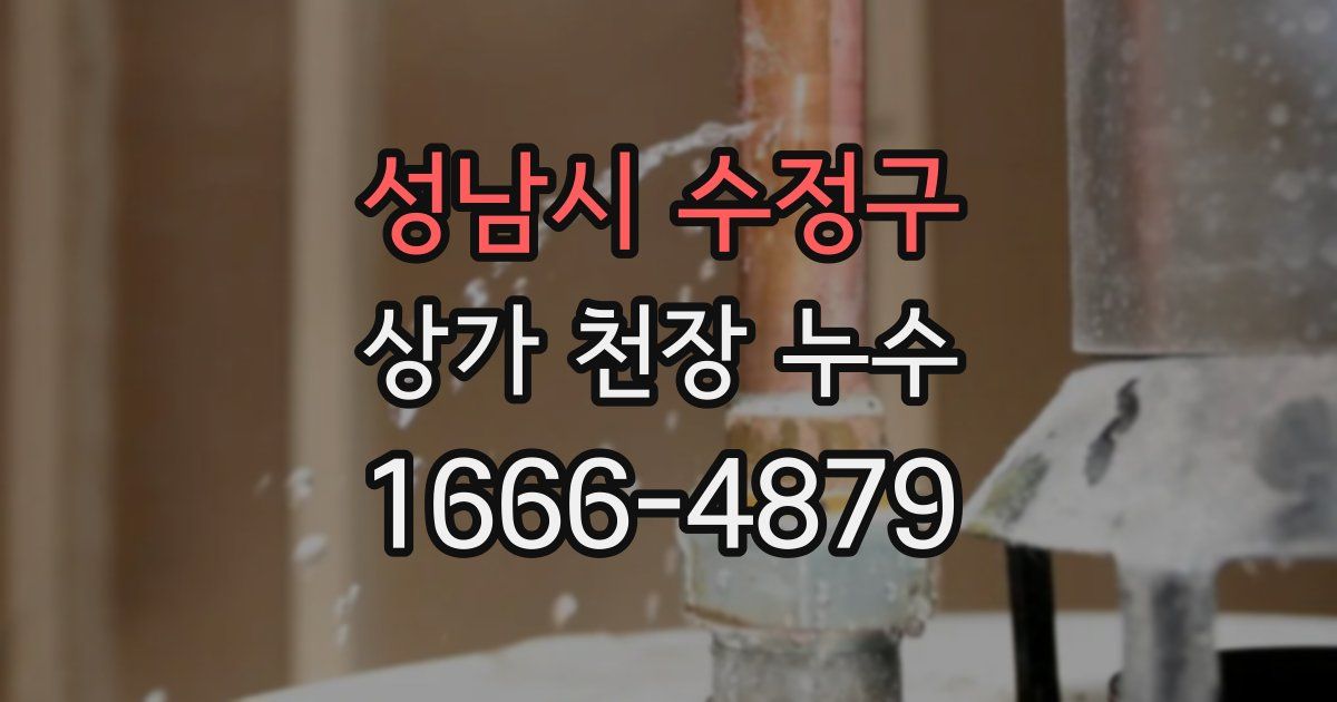 성남시 수정구 상가 천장 누수