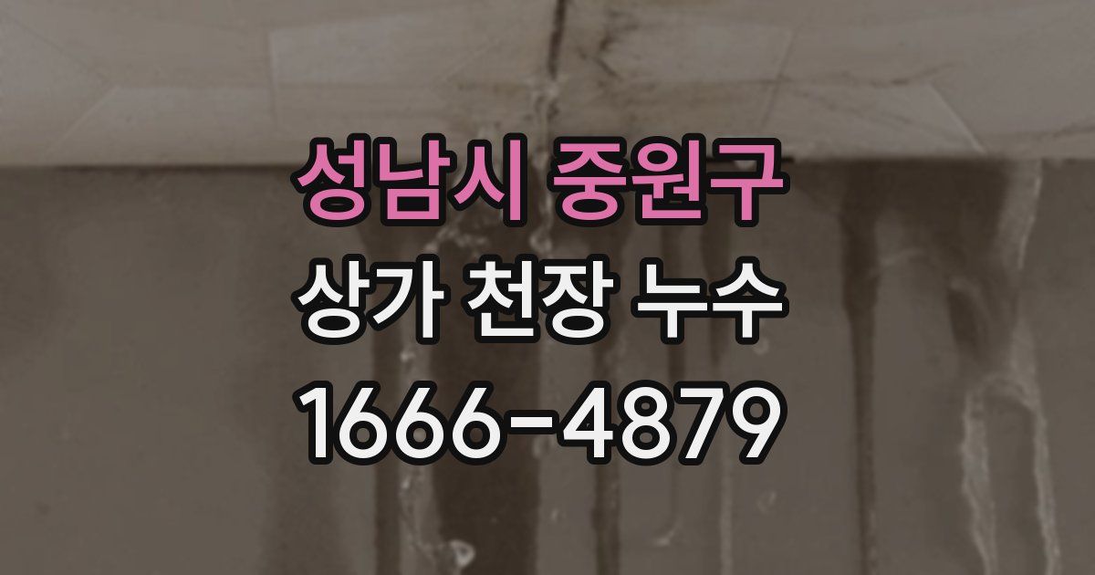 성남시 중원구 상가 천장 누수