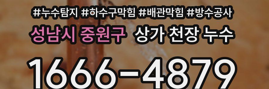 성남시 중원구 상가 천장 누수