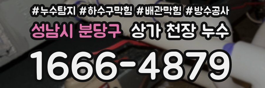 성남시 분당구 상가 천장 누수