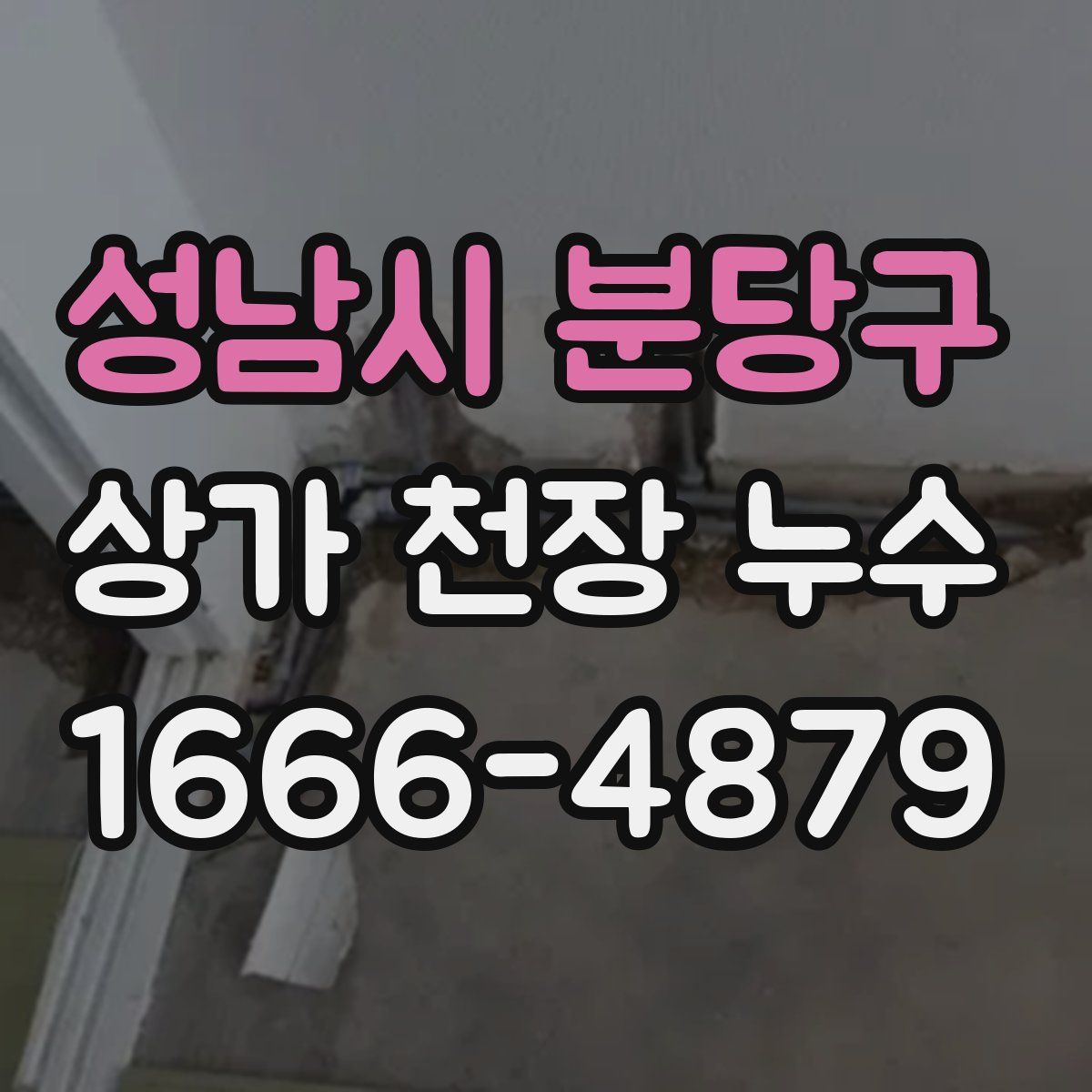 성남시 분당구 상가 천장 누수