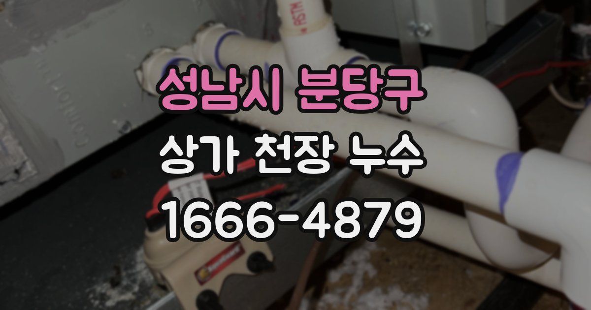 성남시 분당구 상가 천장 누수