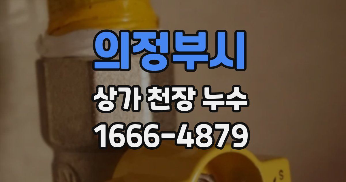 의정부시 상가 천장 누수