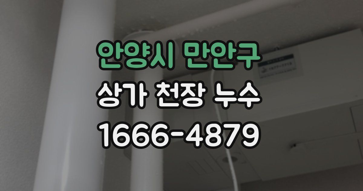 안양시 만안구 상가 천장 누수