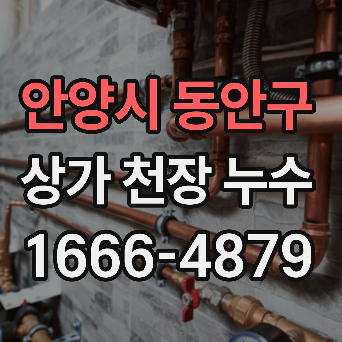 안양시 동안구 상가 천장 누수