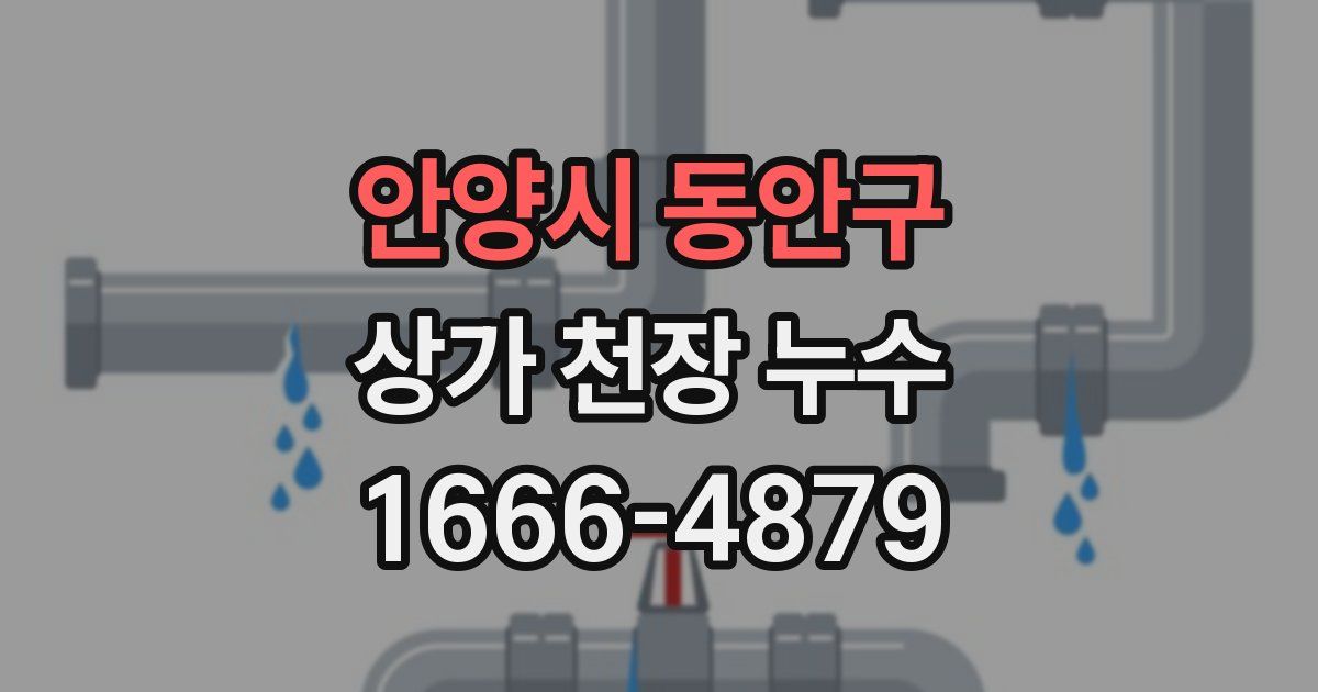 안양시 동안구 상가 천장 누수