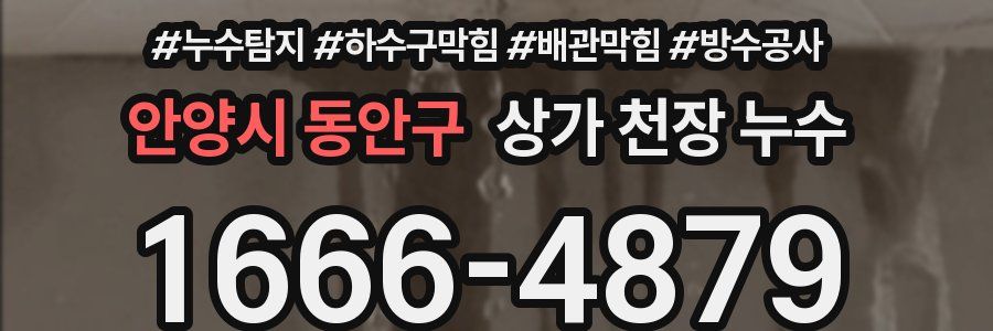 안양시 동안구 상가 천장 누수