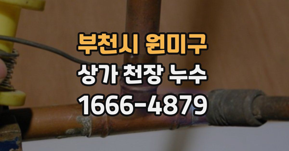 부천시 원미구 상가 천장 누수