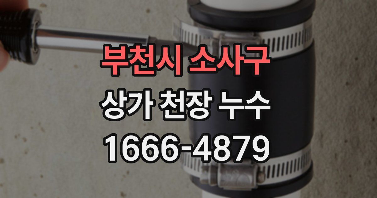 부천시 소사구 상가 천장 누수
