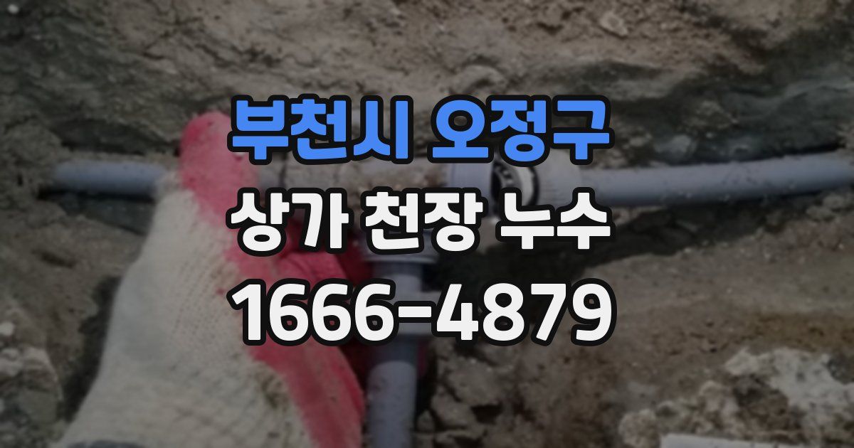 부천시 오정구 상가 천장 누수