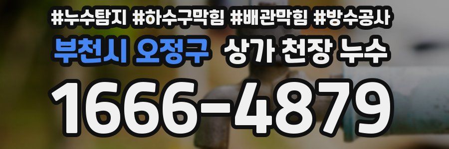부천시 오정구 상가 천장 누수