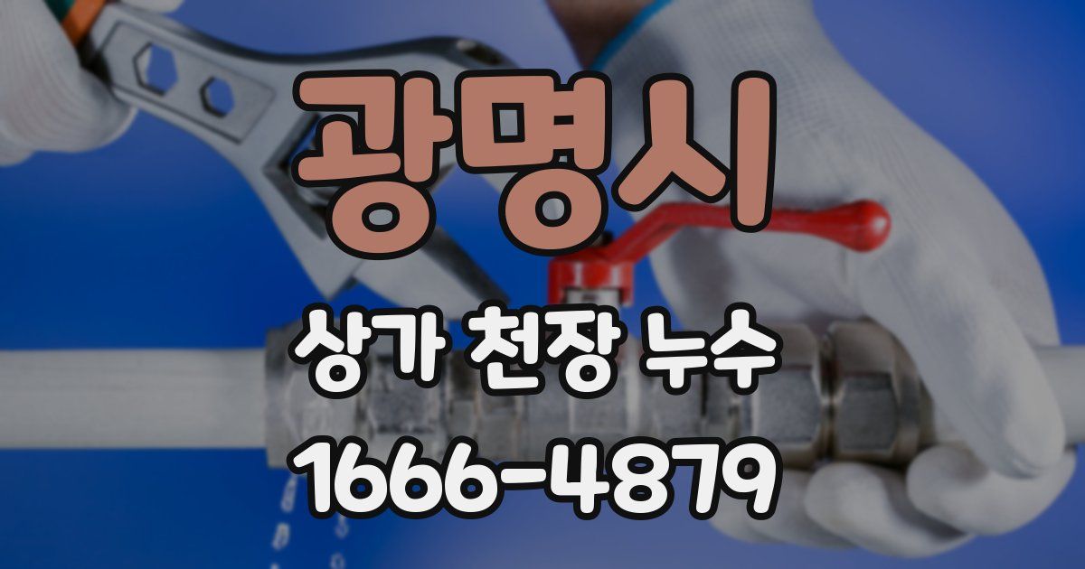 광명시 상가 천장 누수