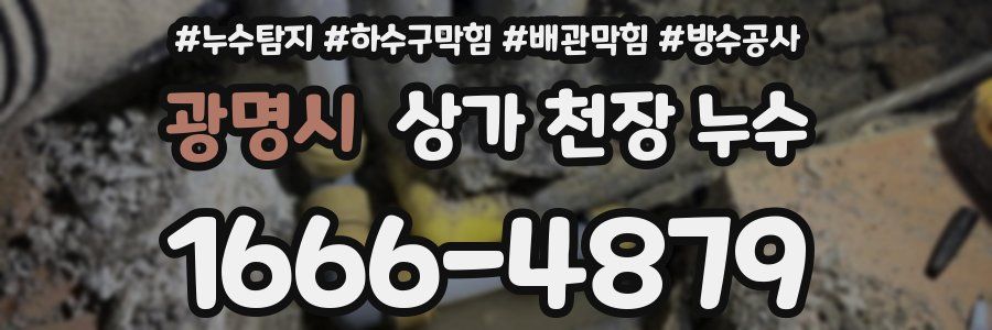 광명시 상가 천장 누수